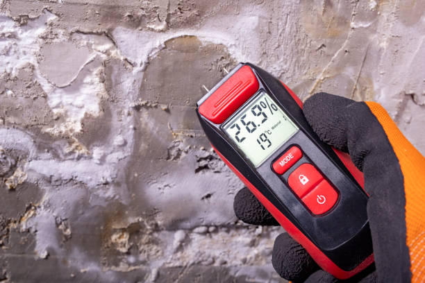 Crawl Space Mold Removal in Oriole Beach, FL