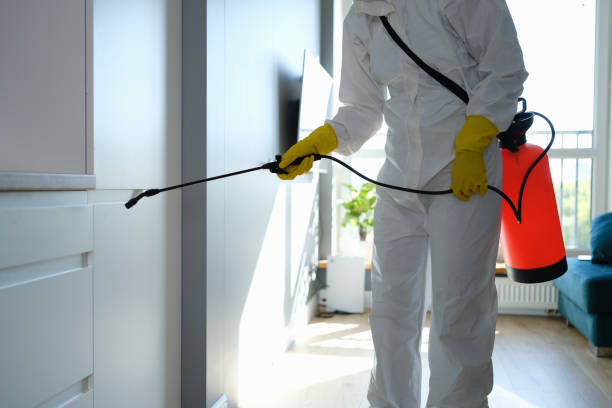 Best Toxic Mold Removal  in Oriole Beach, FL